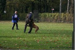 bild085