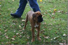 bild088