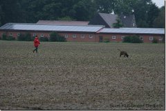 bild019