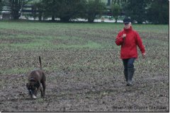 bild021
