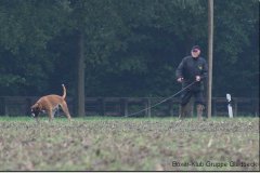 bild030