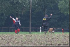 bild031