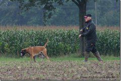 bild034