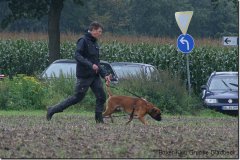bild035