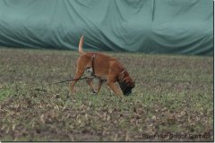 bild037