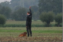 bild038