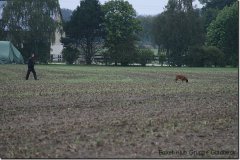 bild048