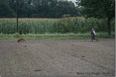 bild059