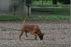 bild061