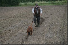 bild062
