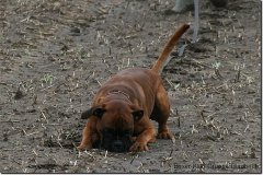 bild063