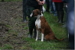 bild067