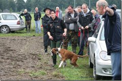 bild068