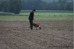 bild070