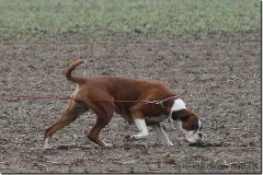 bild072