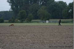 bild074