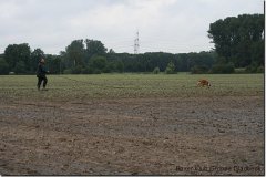 bild078