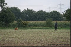 bild080