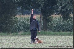 bild081