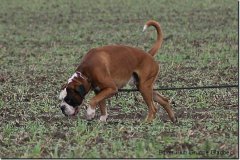 bild082