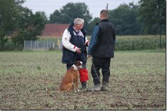 bild084