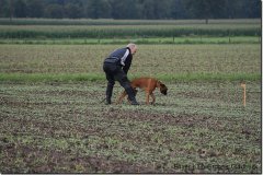bild088