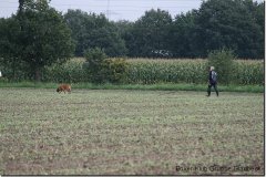 bild090
