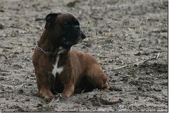 bild093