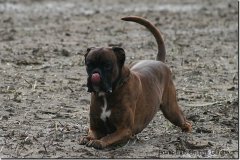 bild094