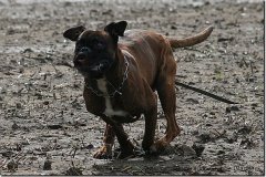 bild095