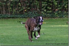 bild007