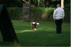 bild008