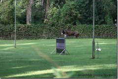 bild009