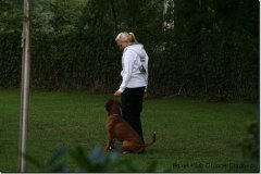 bild010