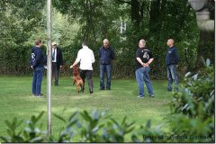 bild022
