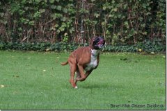 bild024