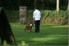 bild025