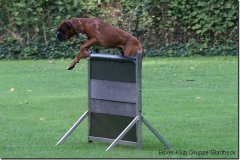 bild026