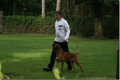 bild029
