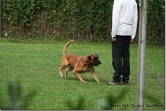 bild032