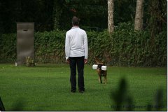 bild033