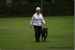 bild038