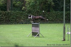 bild045