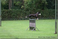bild046
