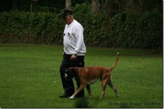 bild050