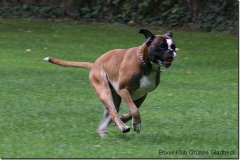 bild053