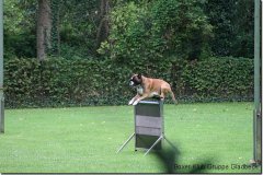 bild054