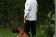 bild059
