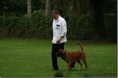 bild061