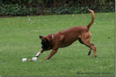 bild066